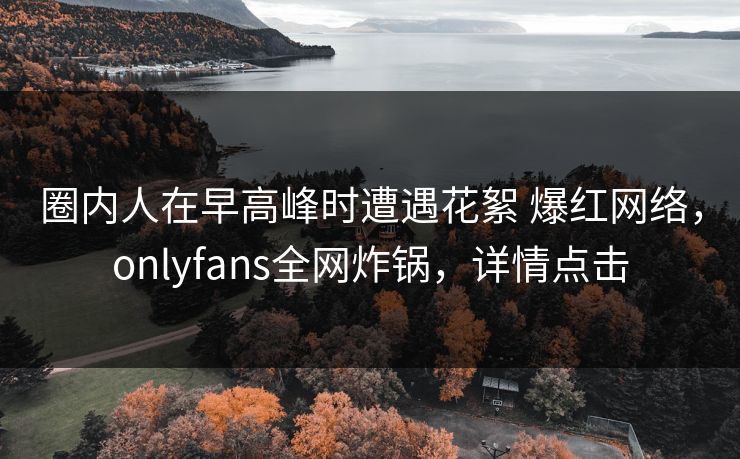 圈内人在早高峰时遭遇花絮 爆红网络，onlyfans全网炸锅，详情点击